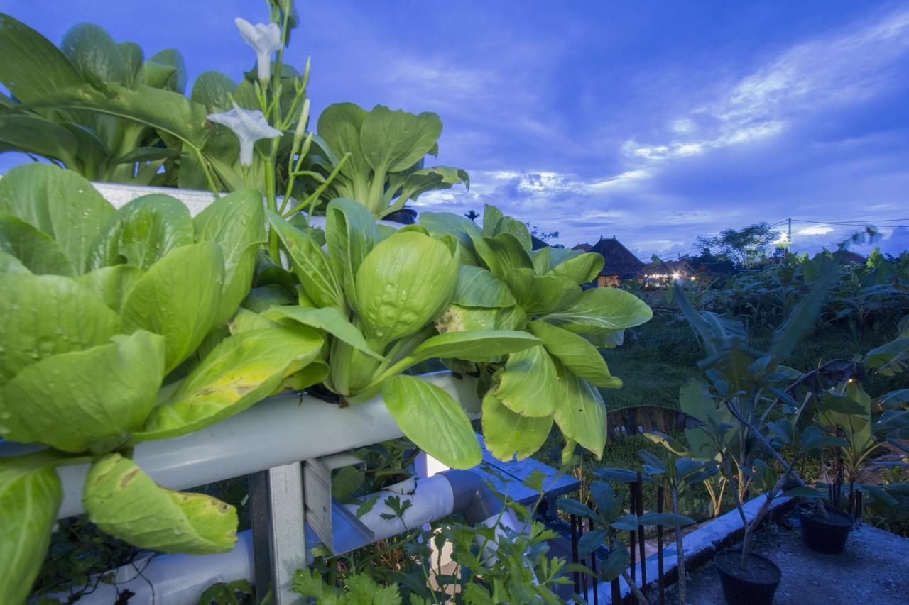Vinayaka Ubud Eksteriør bilde
