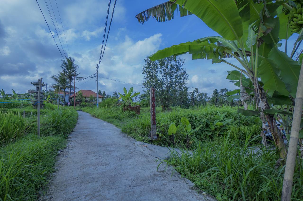 Vinayaka Ubud Eksteriør bilde
